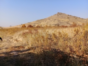 Land, Malishka village